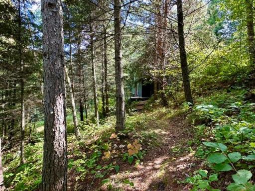 Trail from Sauna to Cabin