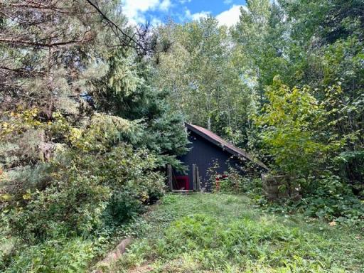 Cabin from Driveway