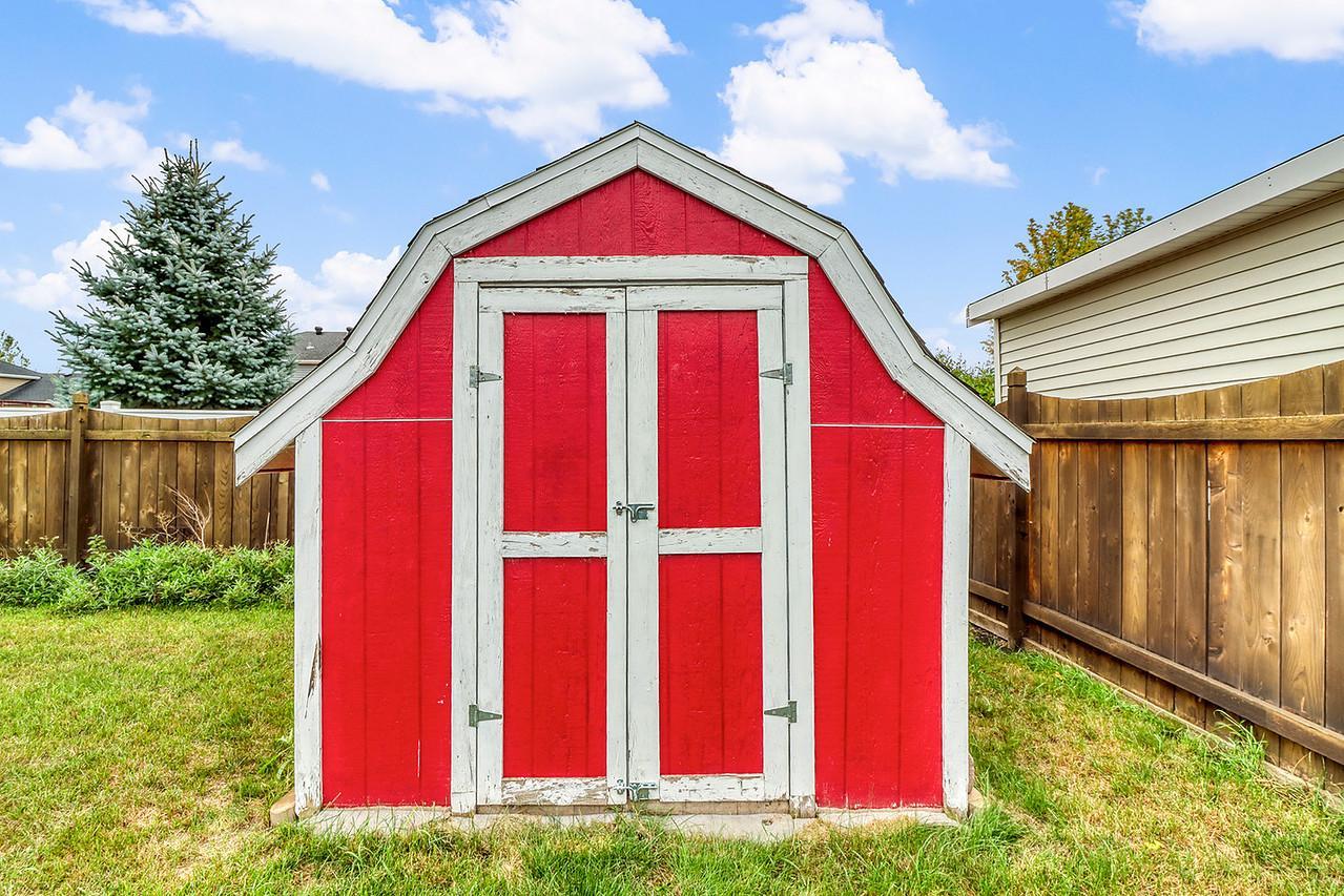Backyard_shed1_1-g.jpg