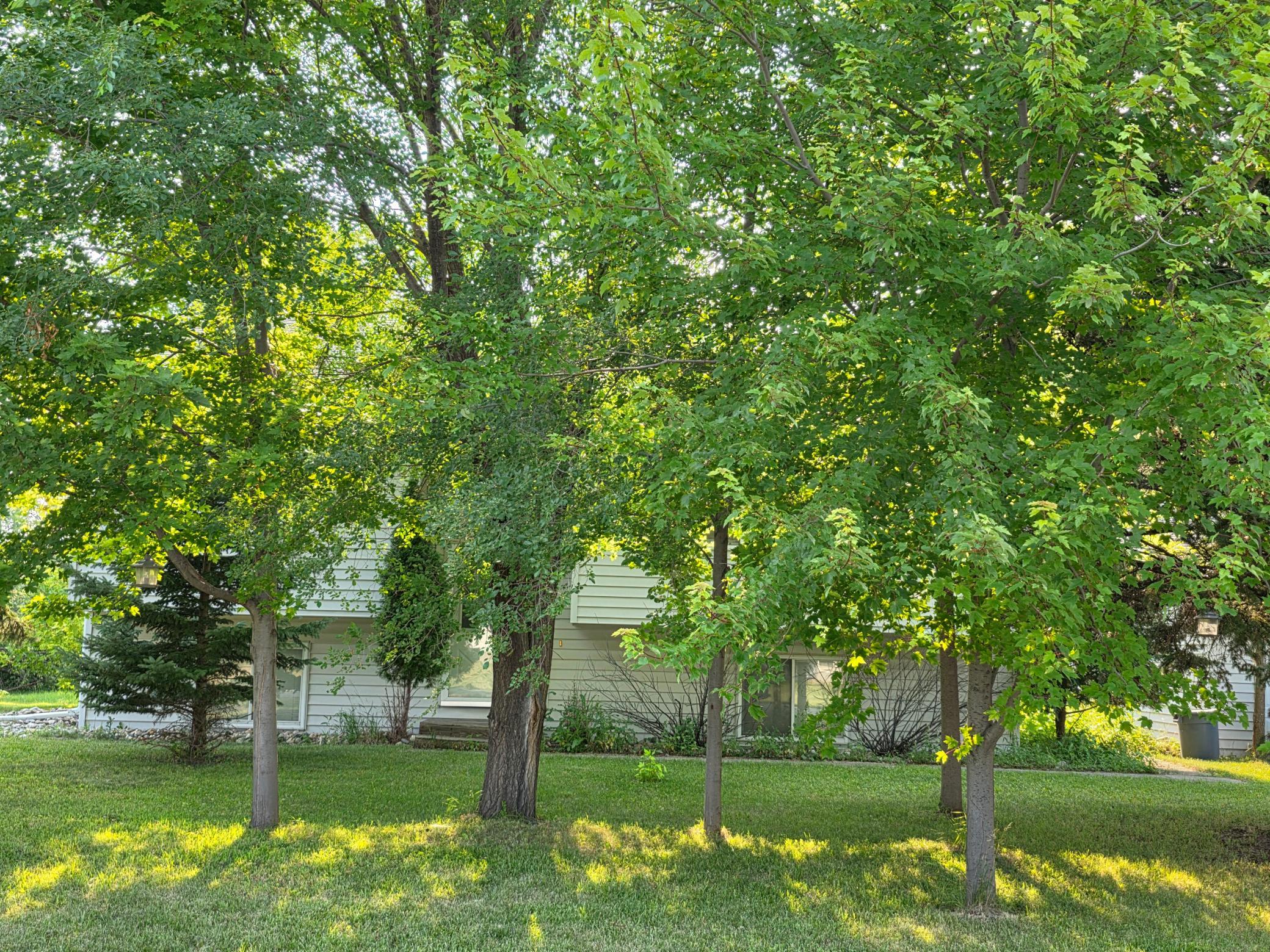 20260727_174305.jpg