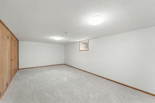 Finished Lower Level