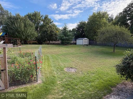 Backyard 2