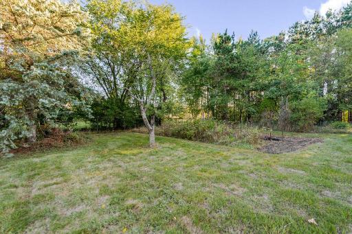 Garden Area