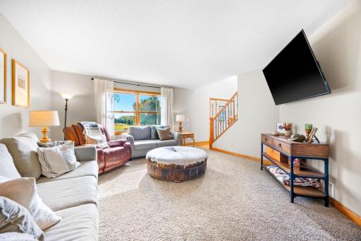 3995 Eckert Avenue SE, Delano, MN 55328