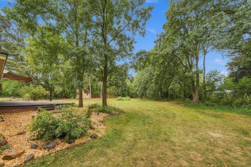 38-Washburn view of yard from small garden area.jpg