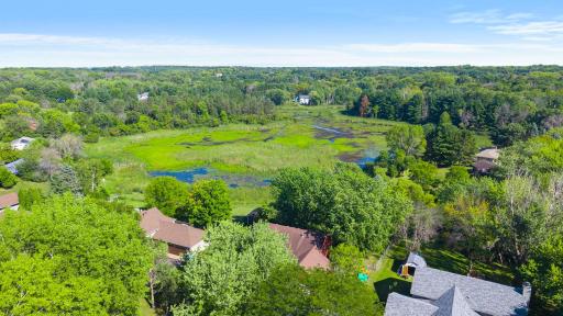 Home backs to pond/wetland