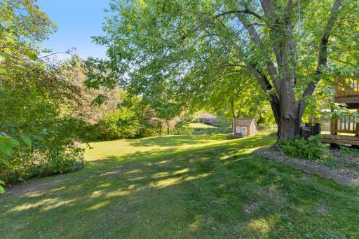 Large fenced in back yard