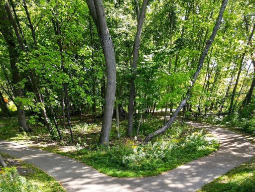 17250 47th Avenue N, Plymouth, MN 55446