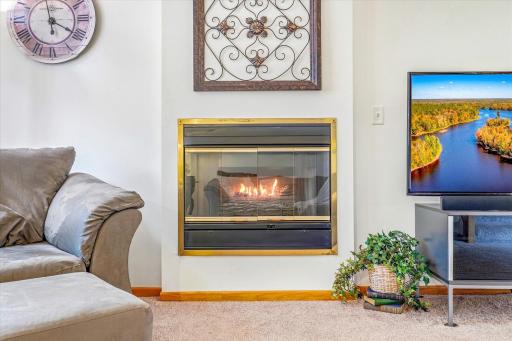 4068 Wilshire Circle, 43, Shoreview, MN 55126