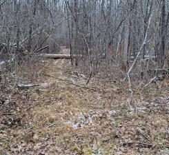 Established Trails