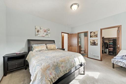 3806 Meadowview Way, Saint Bonifacius, MN 55375