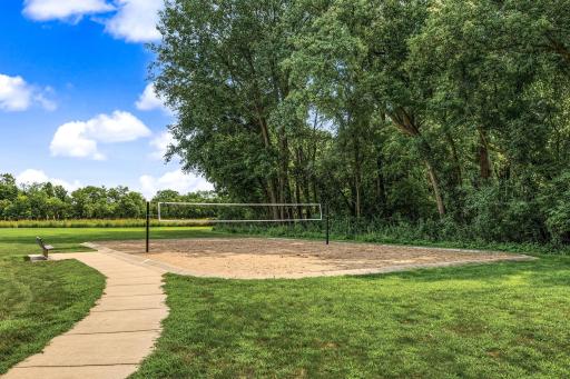 Gather your friends and family for a picnic at the park and a game of volleyball.