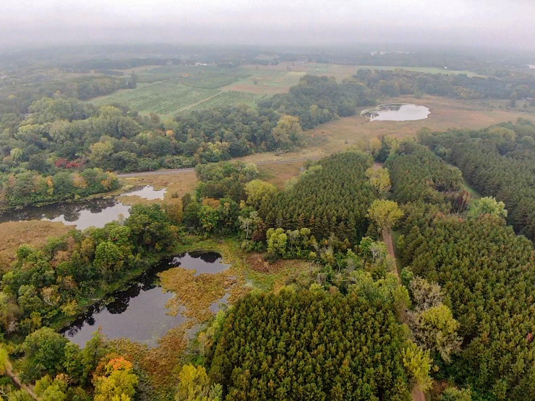 9-web-or-mls-Dellwood Drone-09.jpeg