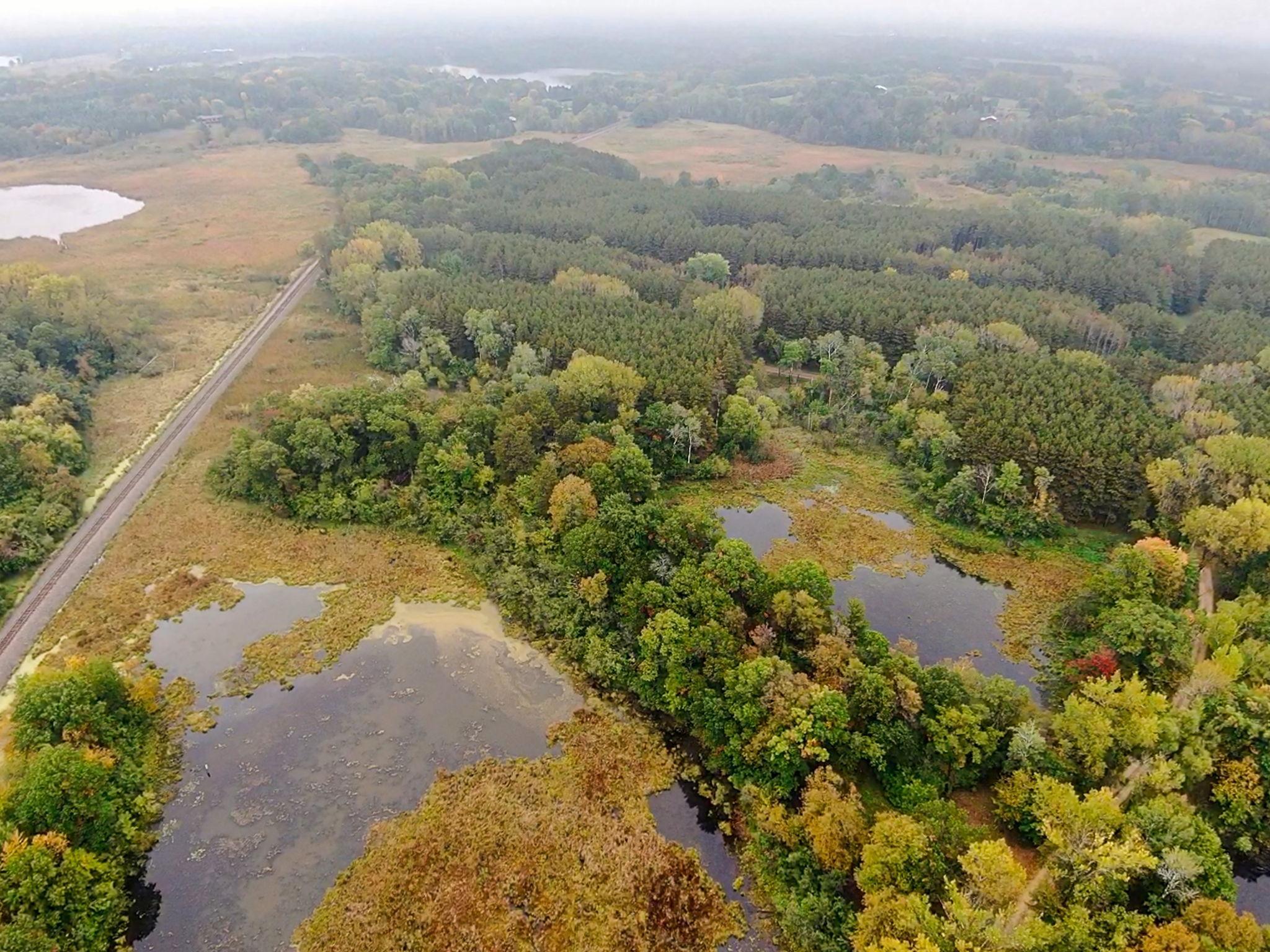 Looking from Pine Tree Lake east towards lot.