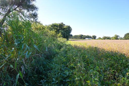 000 State Highway 99, Nicollet, MN 56074