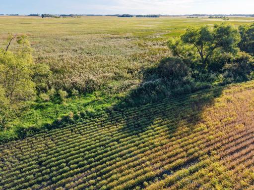 000 State Highway 99, Nicollet, MN 56074