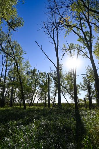 000 State Highway 99, Nicollet, MN 56074