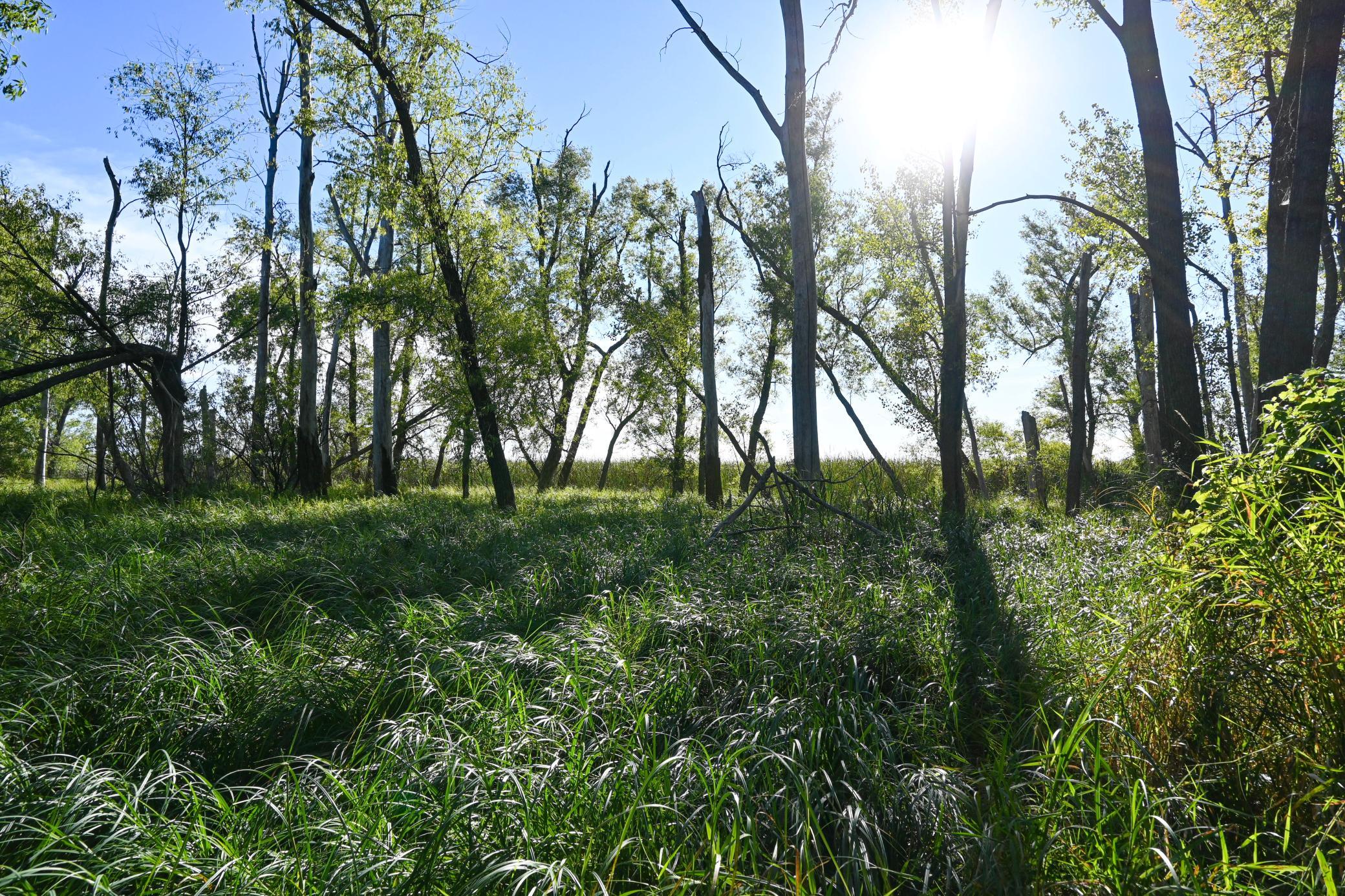 Photo 21