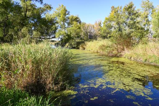 000 State Highway 99, Nicollet, MN 56074