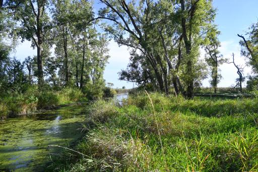 000 State Highway 99, Nicollet, MN 56074