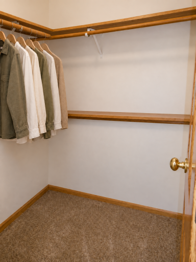Massive lower level primary closet (virtually staged).