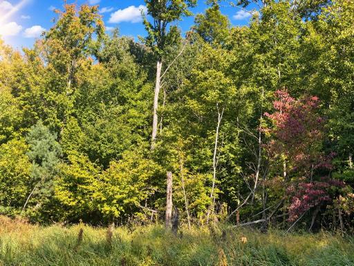 Lot 1 & 2 Bluegill Avenue N, Webster, WI 54893