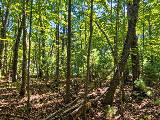 Lot 1 & 2 Bluegill Avenue N, Webster, WI 54893