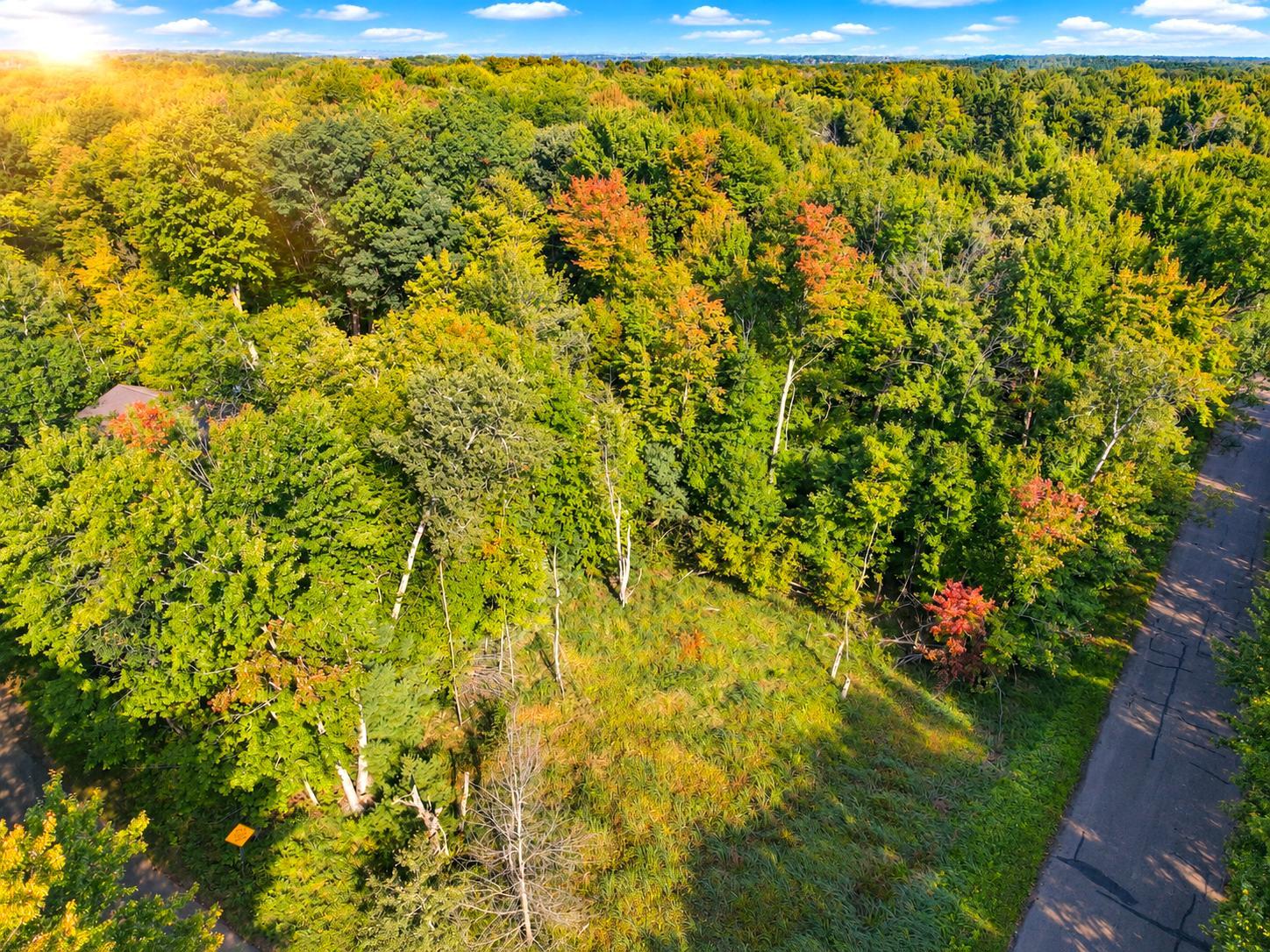 Property photo for Lot 1 & 2 Bluegill Avenue N, Webster, WI 54893