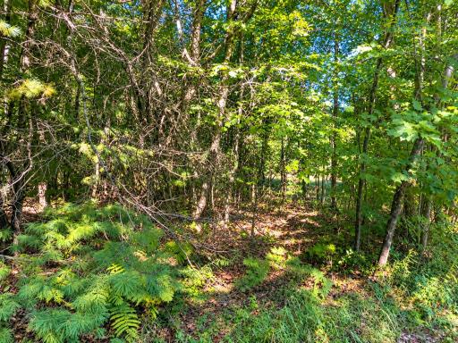 Lot 1 & 2 Bluegill Avenue N, Webster, WI 54893