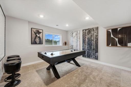 1801 Lincoln Avenue, Saint Paul Park, MN 55071
