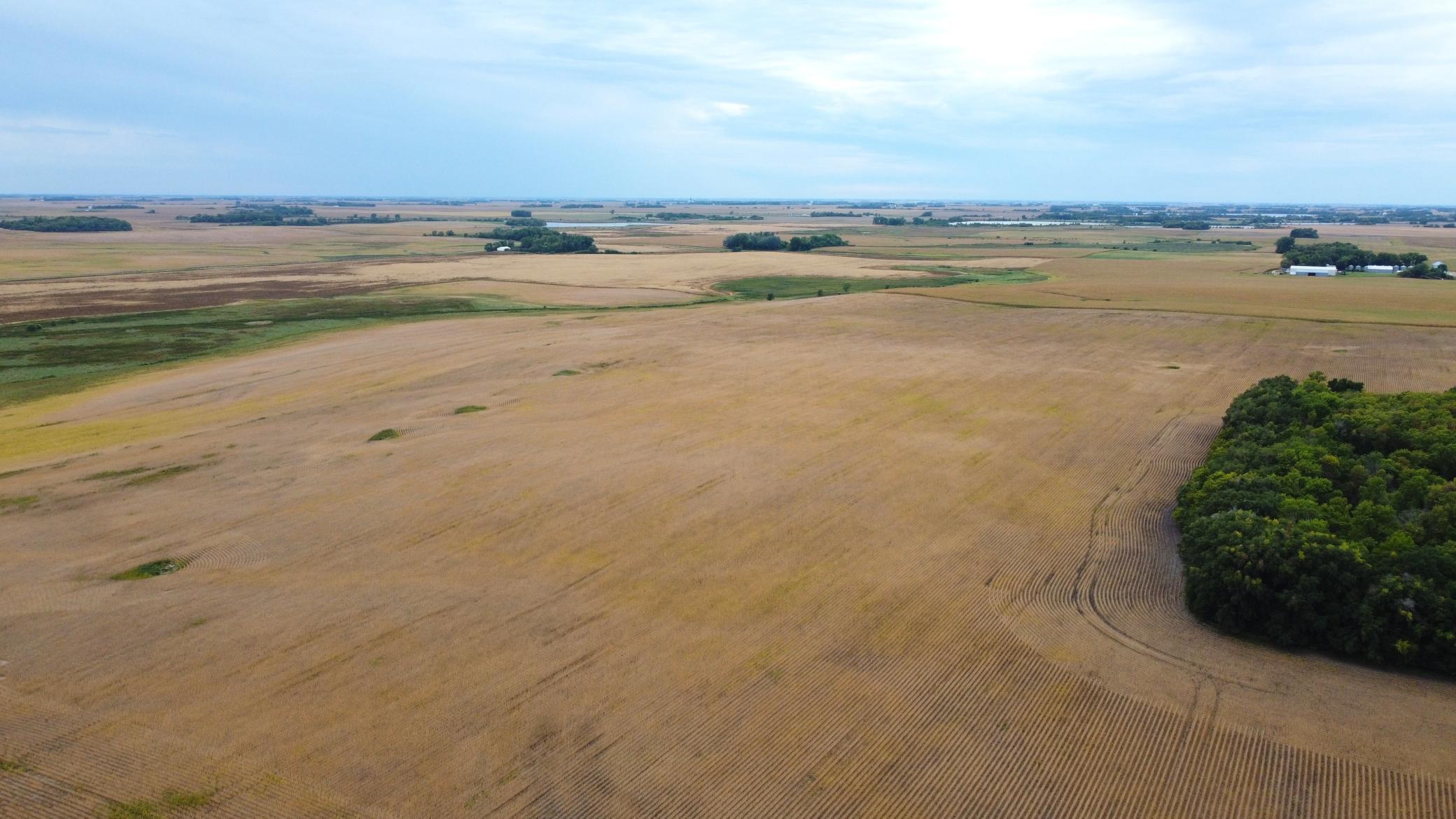 DJI_0472.JPG