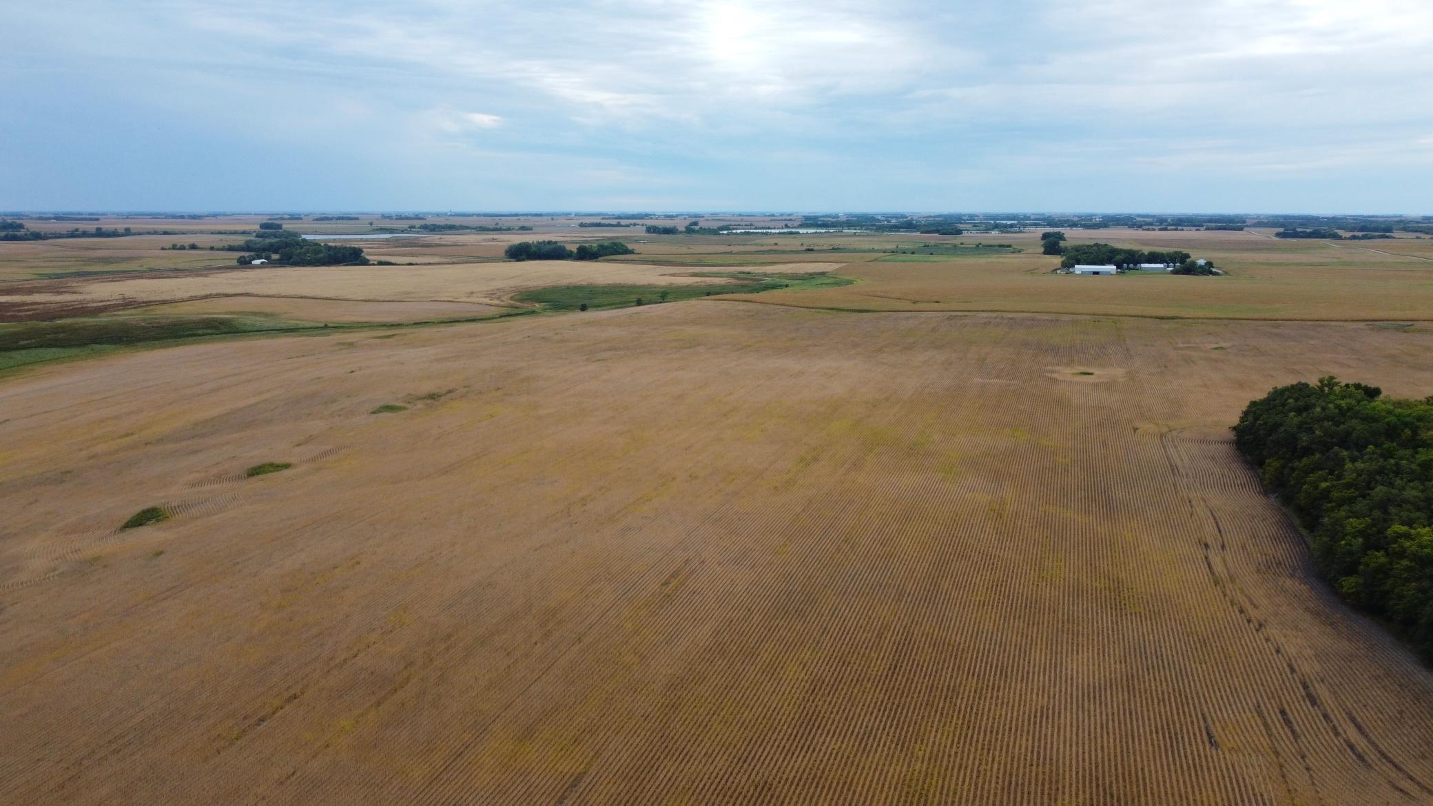 DJI_0474.JPG