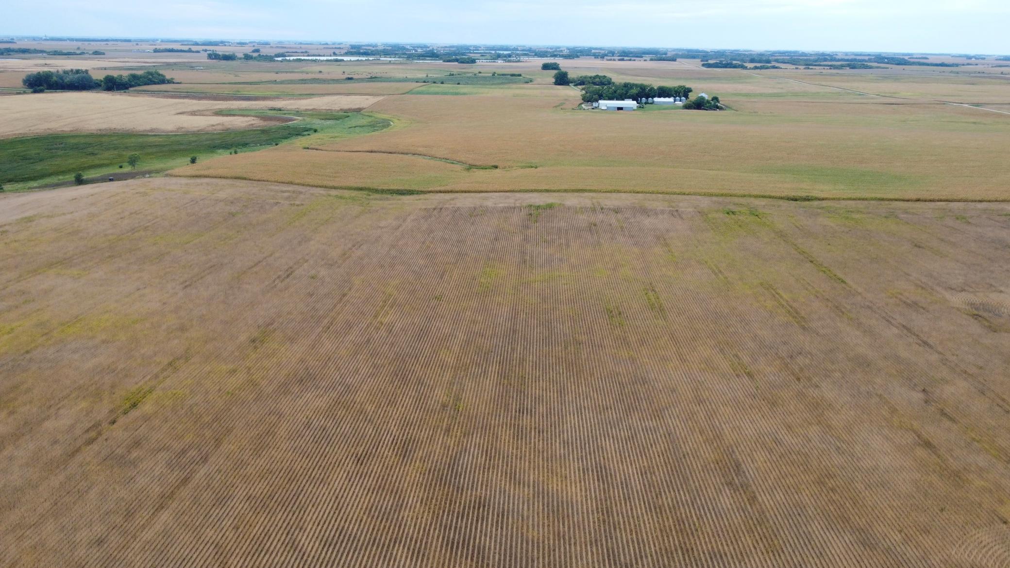 DJI_0475.JPG