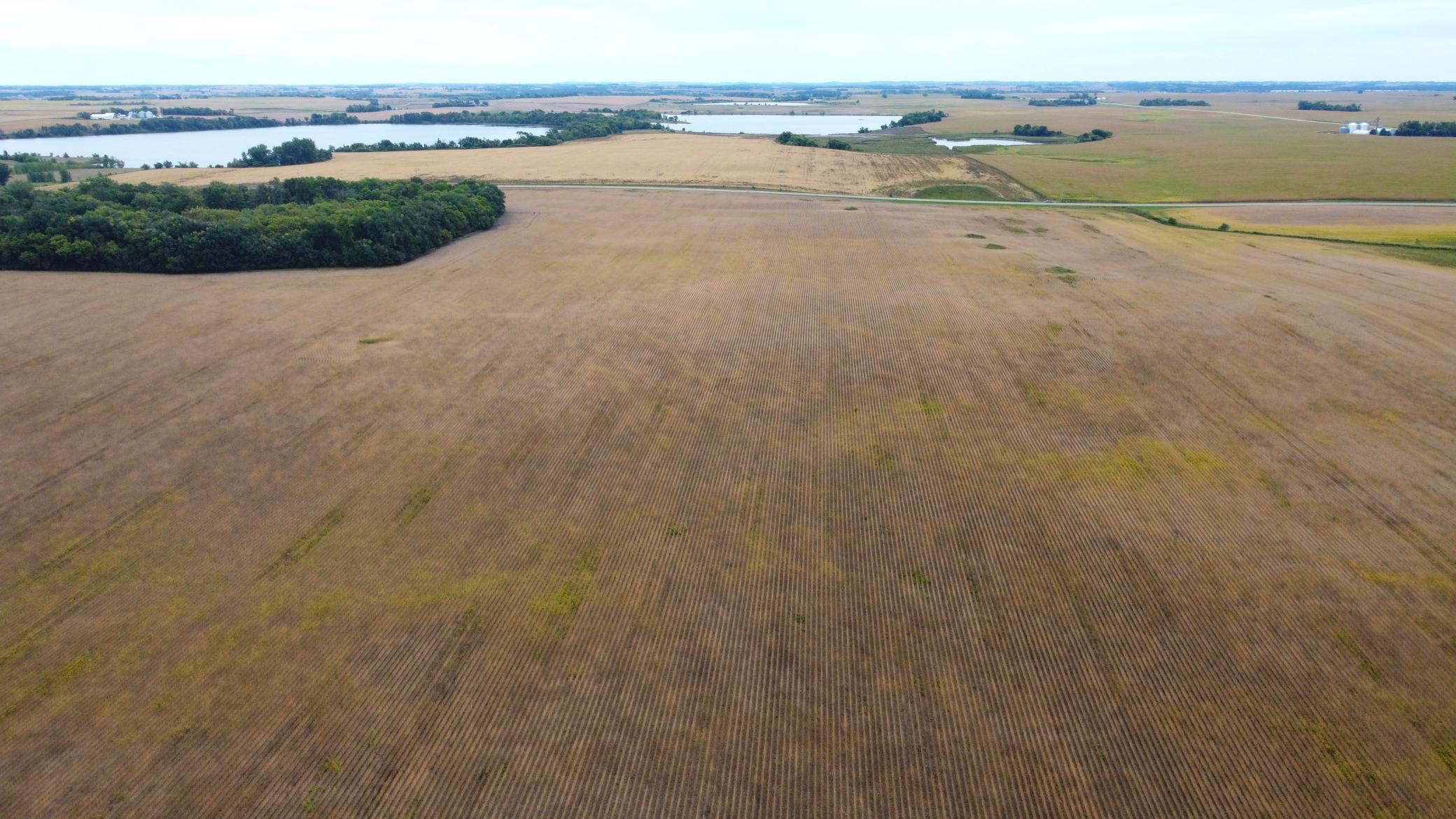 DJI_0476.JPG
