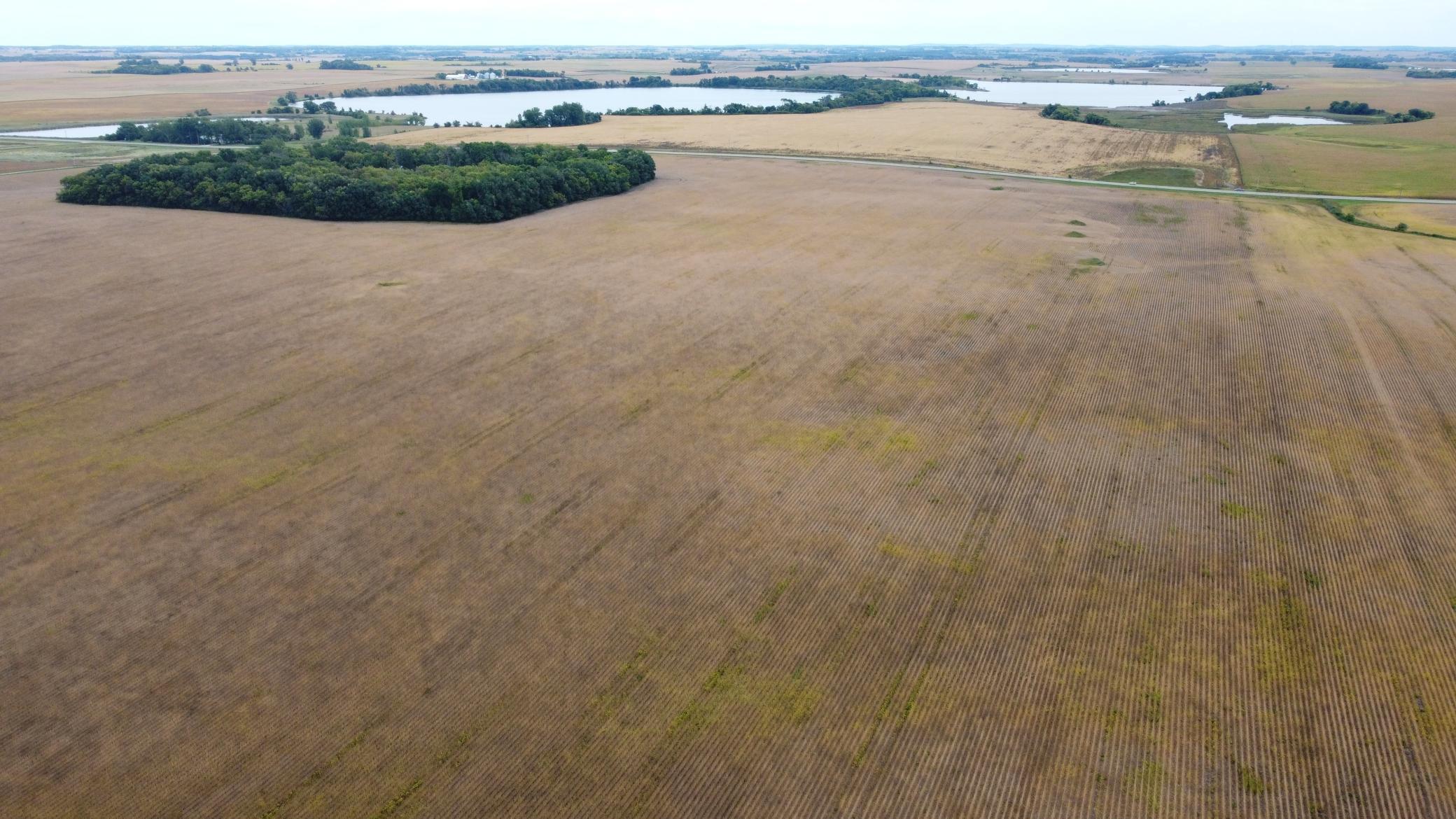 DJI_0478.JPG