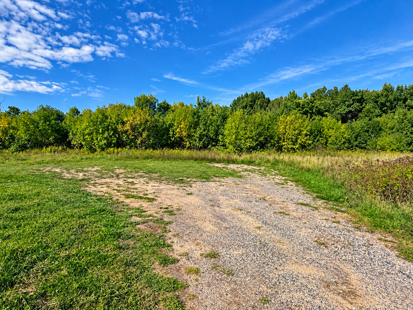 10A5F054-12DC-44FE-B3D7-1702C2B7F405.png