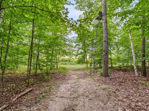 7232 Dove Street, Pequot Lakes, MN 56472
