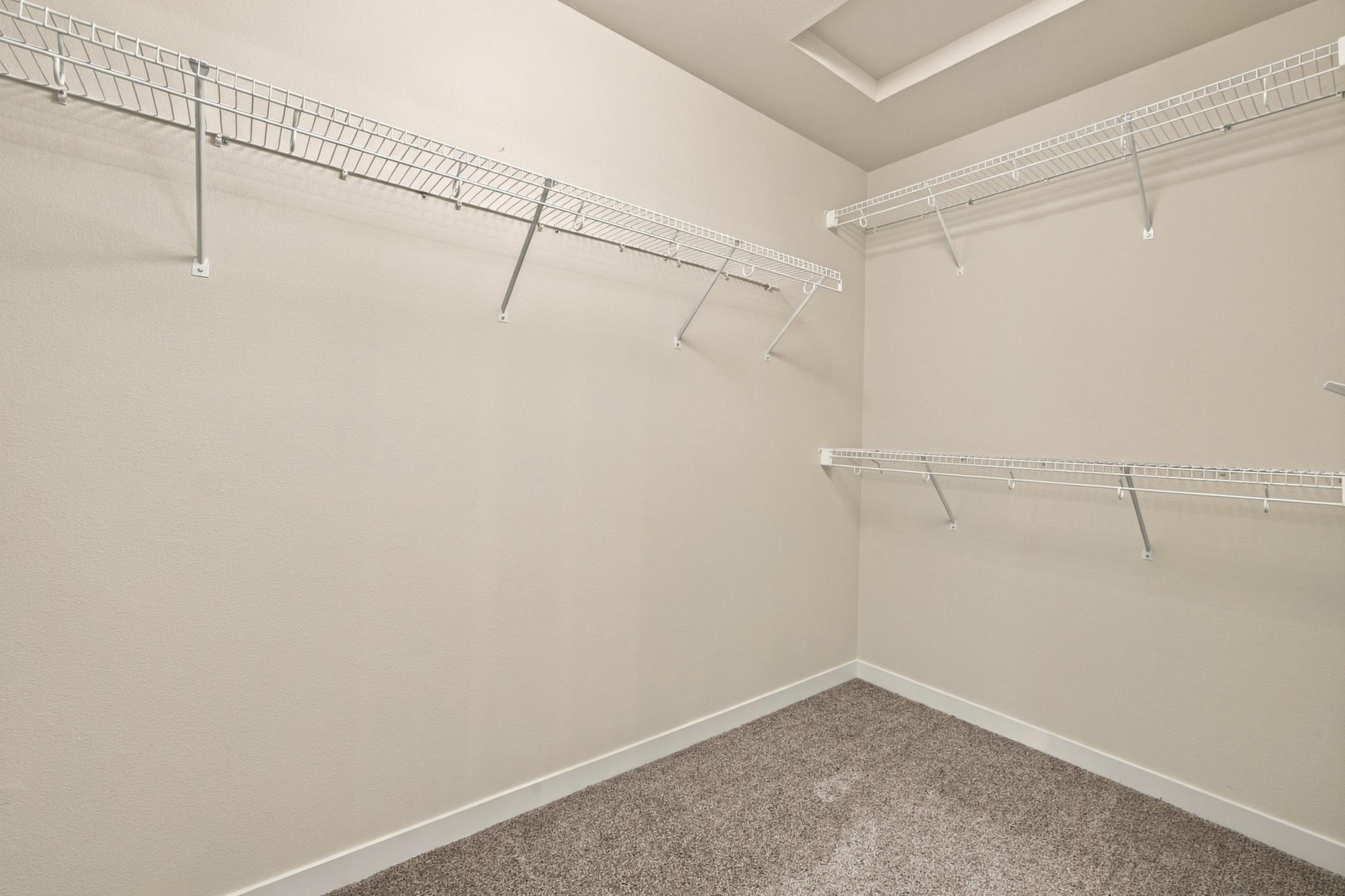 Owner's Walk-In Closet