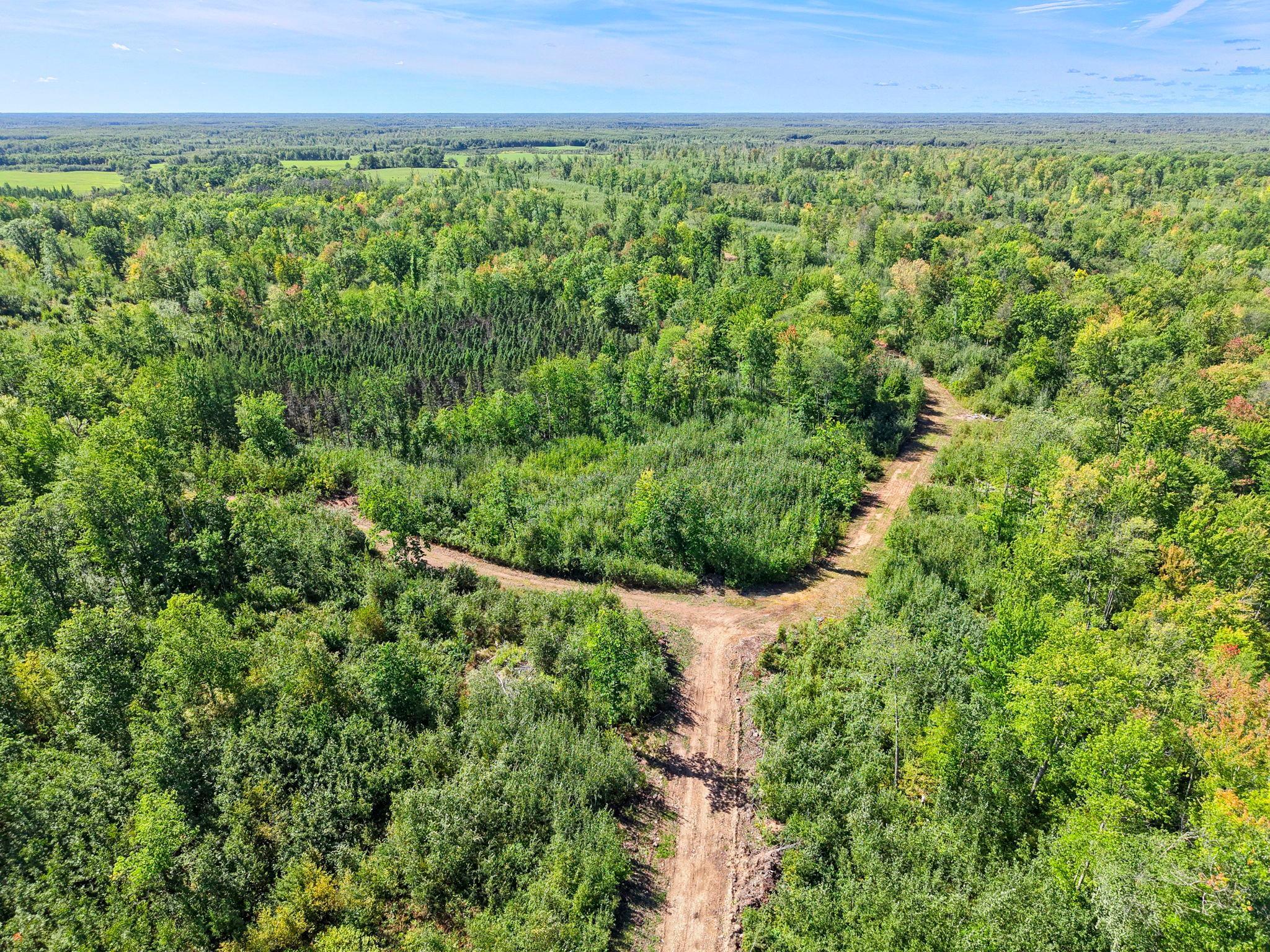 Property photo for xxx Fleming Logging Road, Hinckley, MN 55037