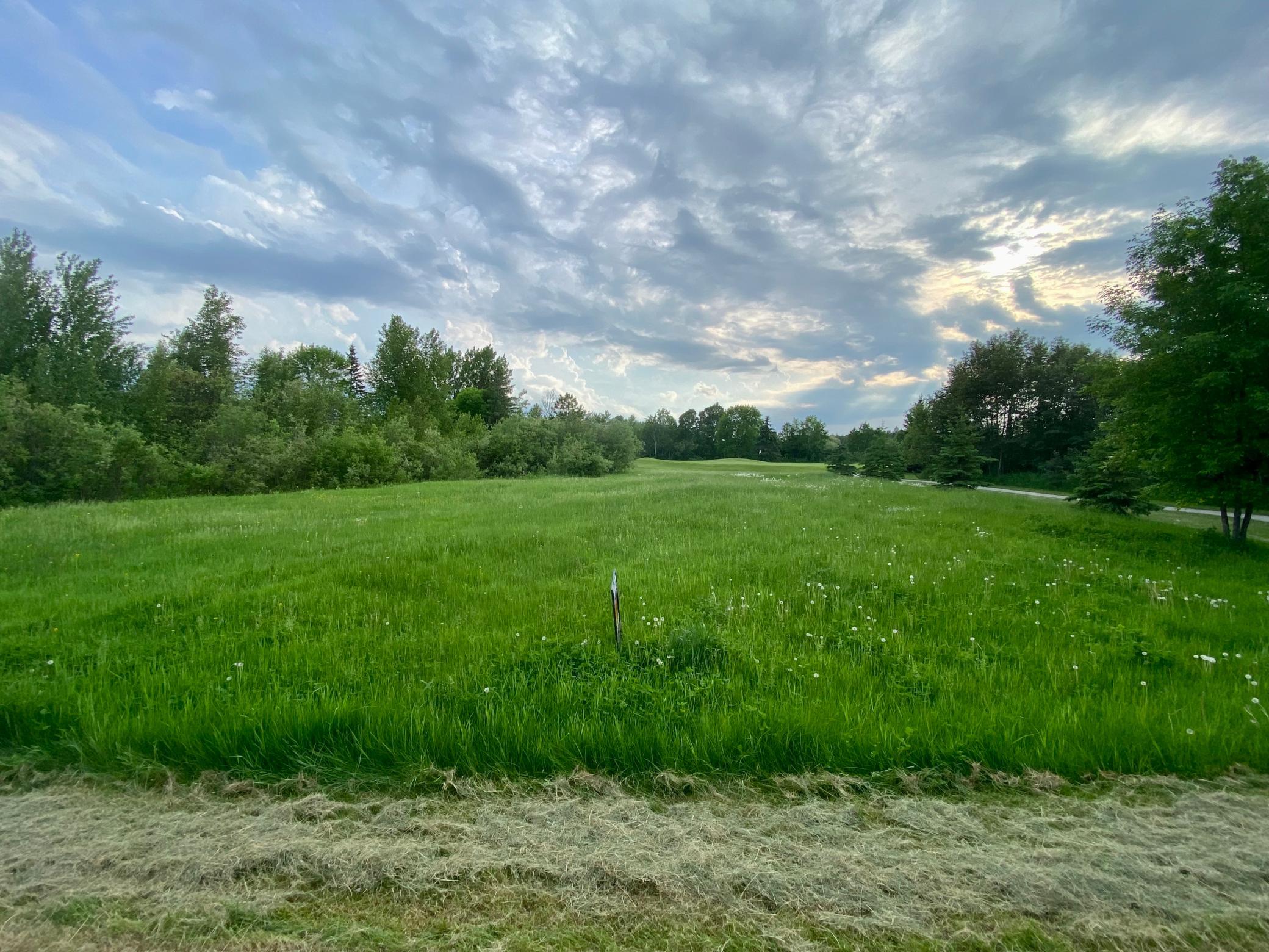 TBD Dogwood Drive, Warroad, MN 56763