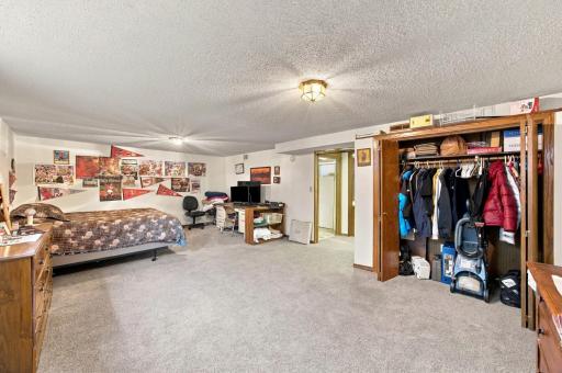 Basement Family Room