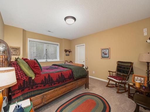 Lower level bedroom with walk-in closet