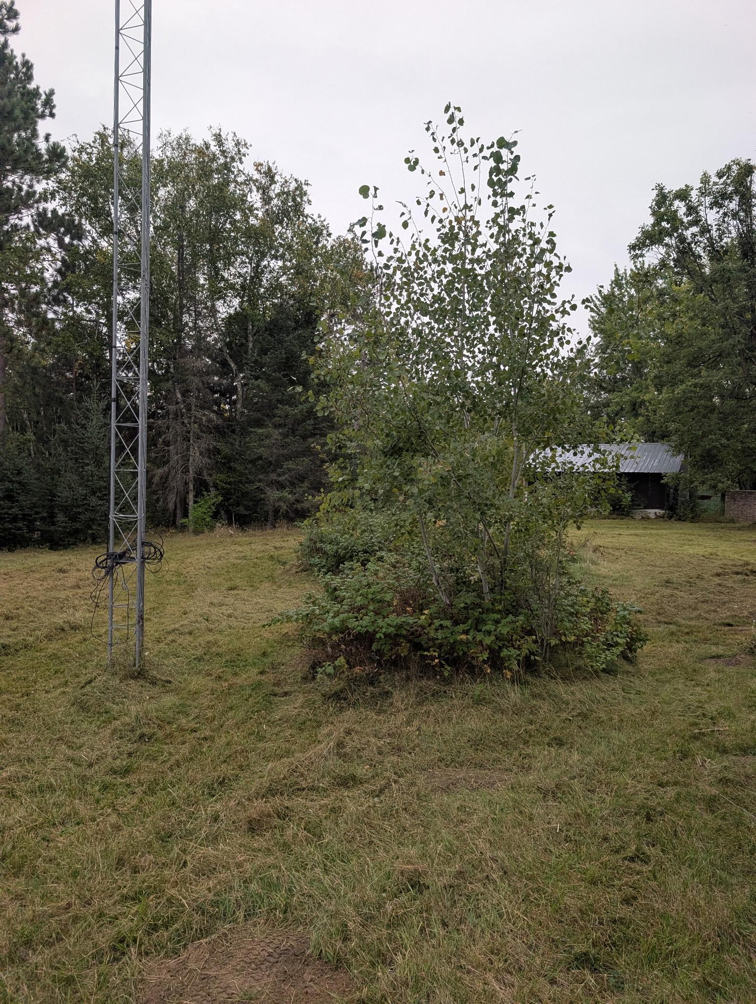 Photo 11