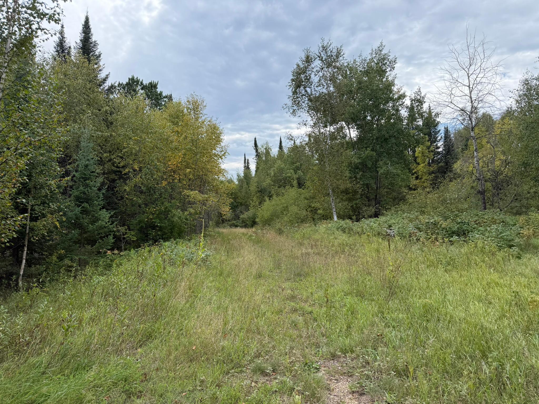 Photo 30