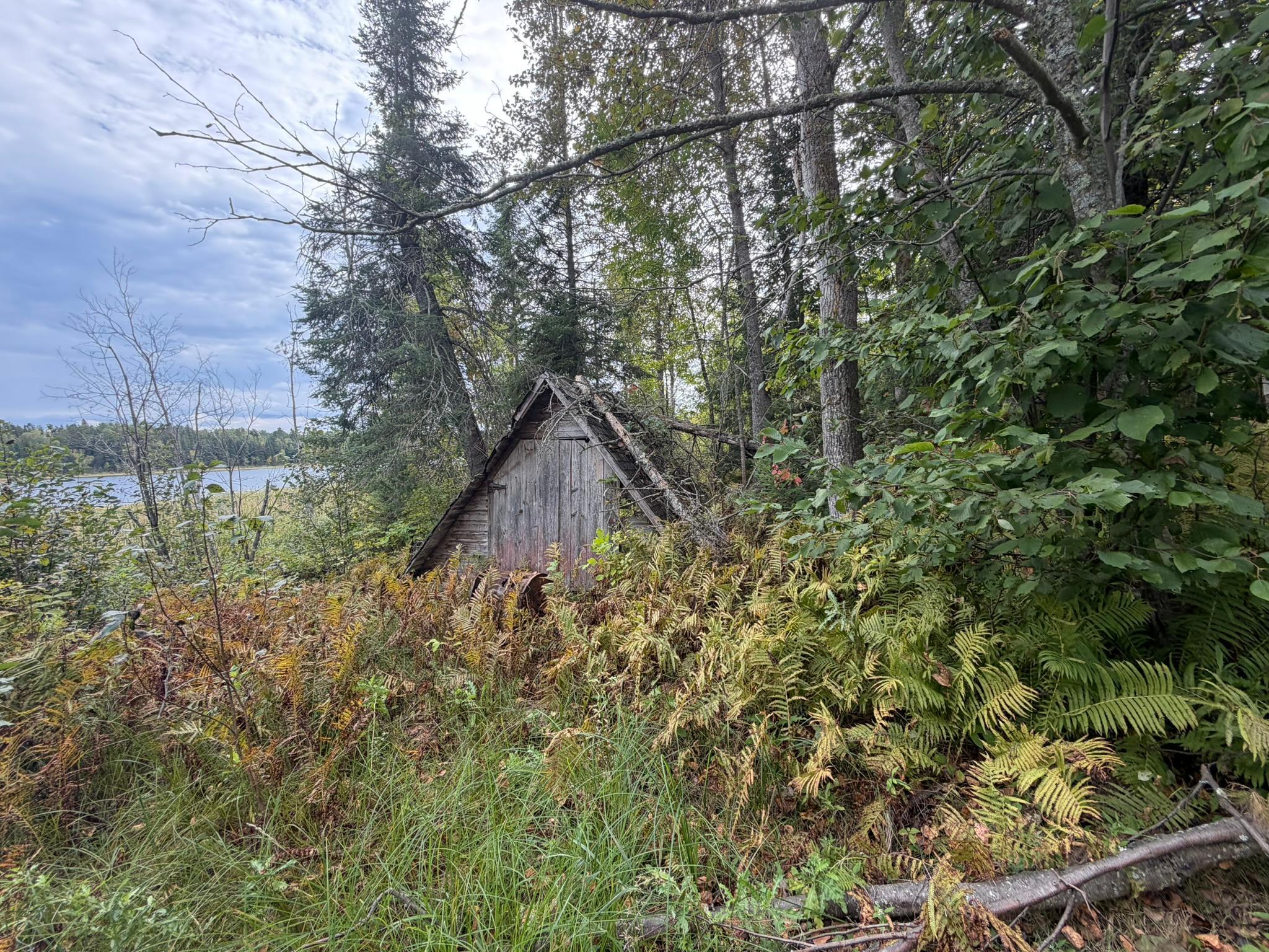 Photo 46