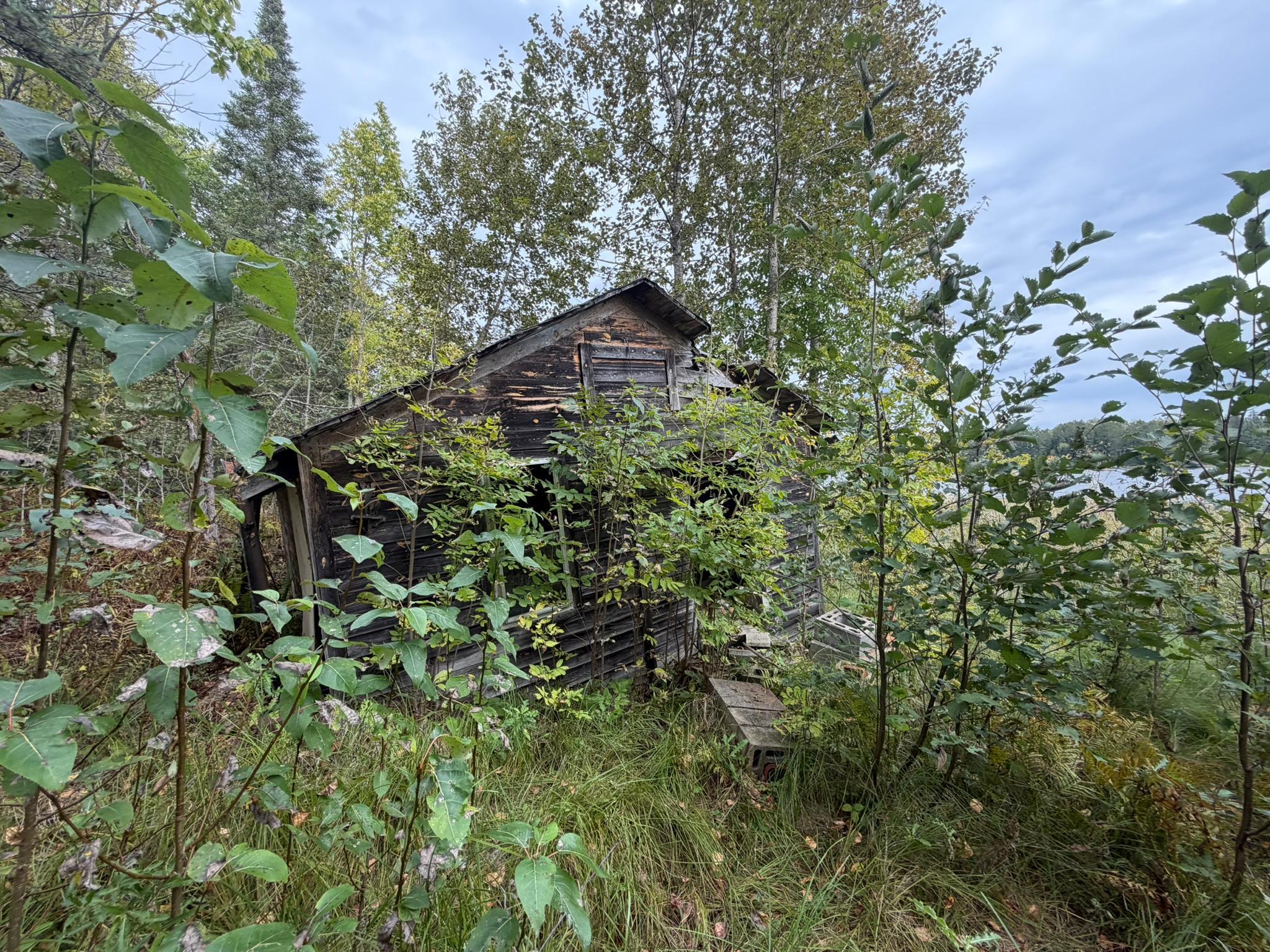 Photo 47