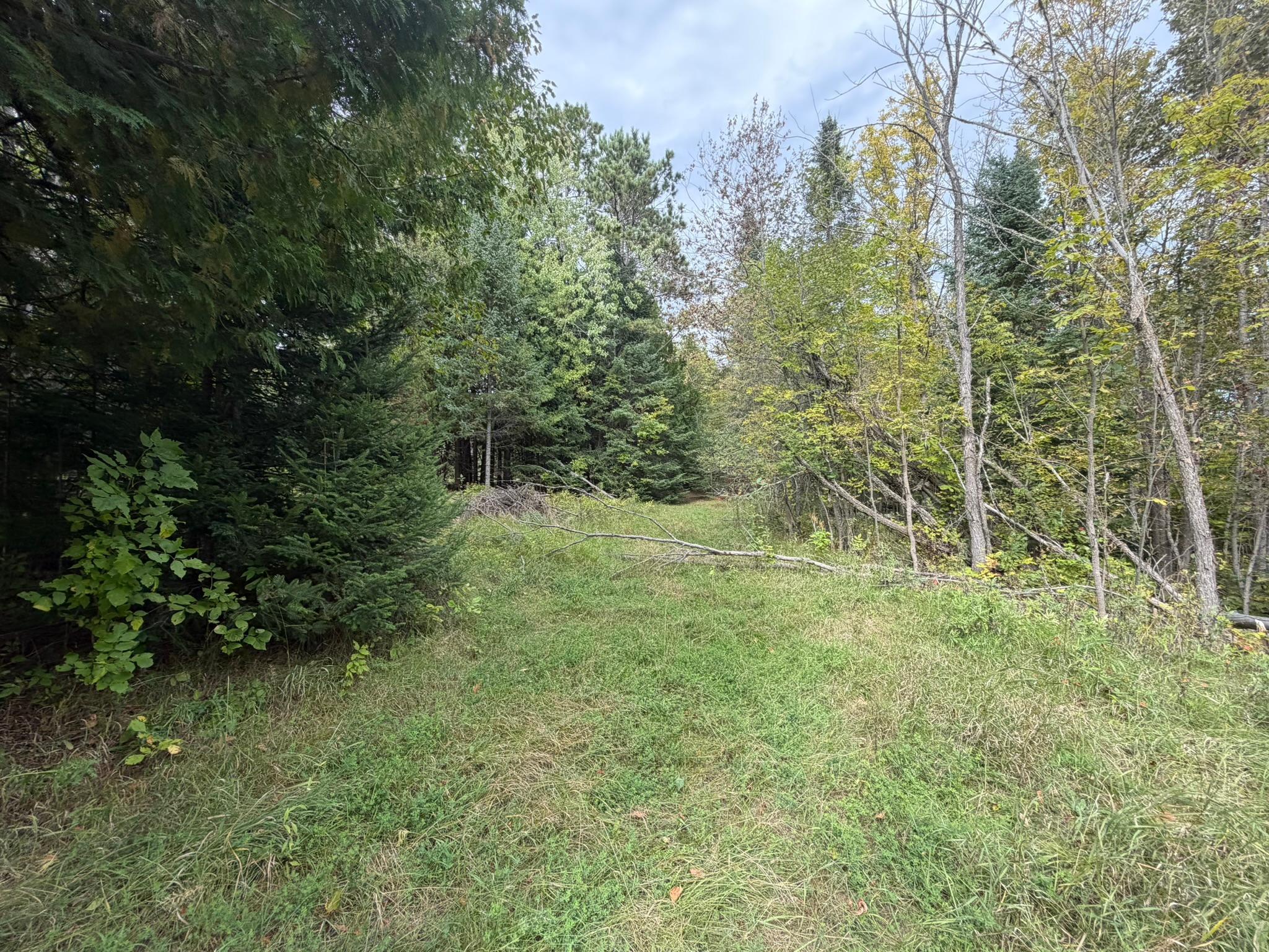 Photo 51