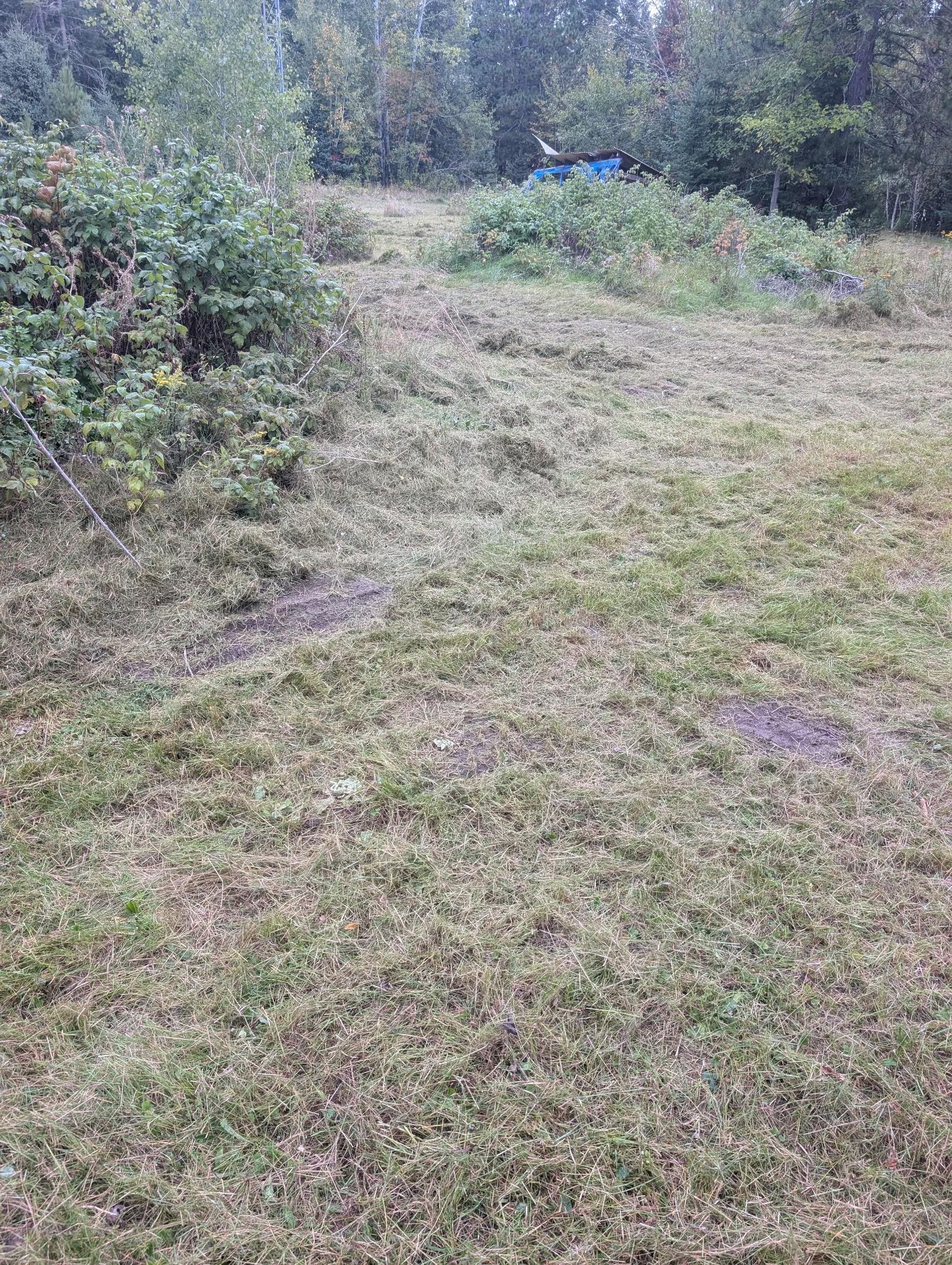 Photo 26