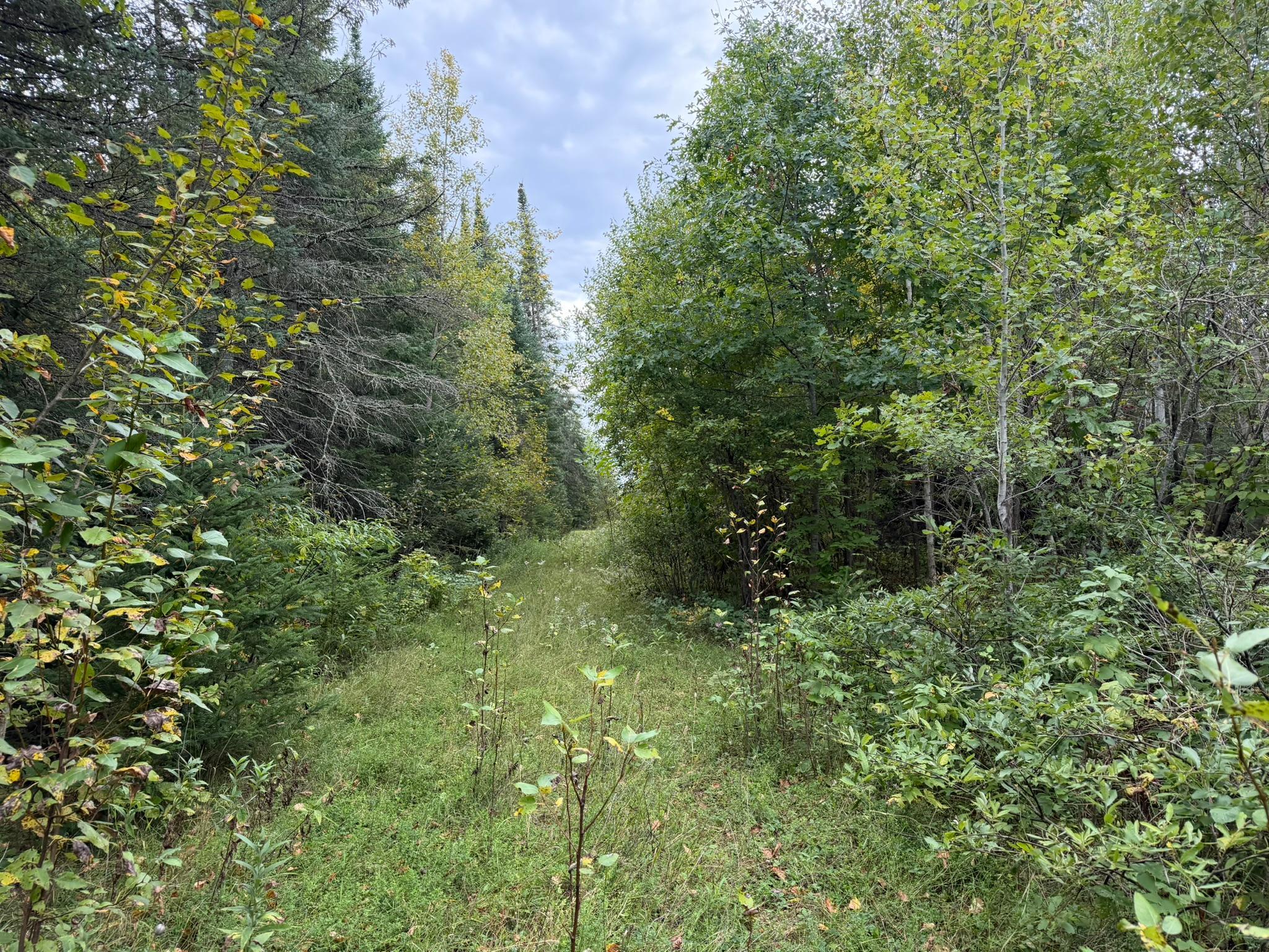 Photo 31