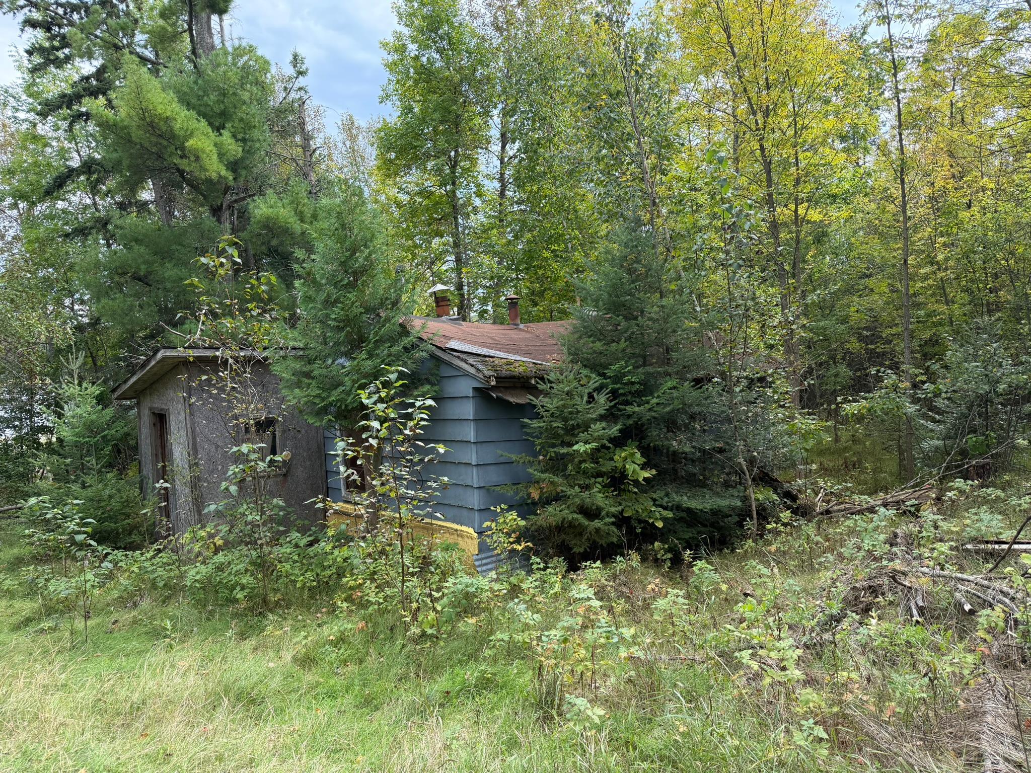 Photo 42